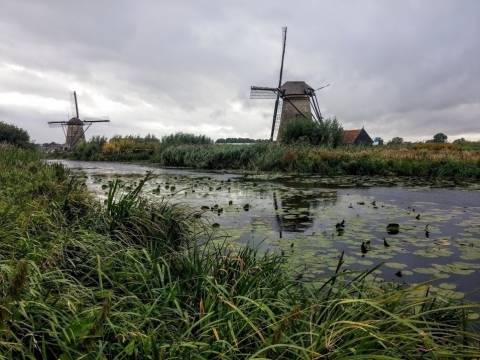 The image features three traditional Dutch windmills on the left side of a tranquil pond, surrounded by lush greenery