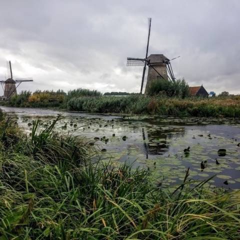 petertest2